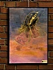 image23